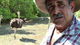 Documentaire Le long du creeks