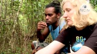 Les plantes endémiques, c'est aussi à Nouméa