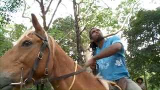 Documentaire Cheval