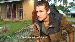 La fête de la forêt à Gohapin