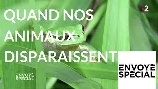 Documentaire Quand nos animaux disparaissent…