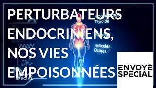 Perturbateurs endocriniens, nos vies empoisonnées