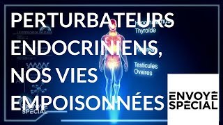 Documentaire Perturbateurs endocriniens, nos vies empoisonnées