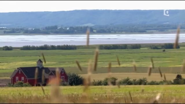 100% Acadiens, ces Français d'Amérique du Nord