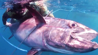 Chasse sous marine en Polynésie