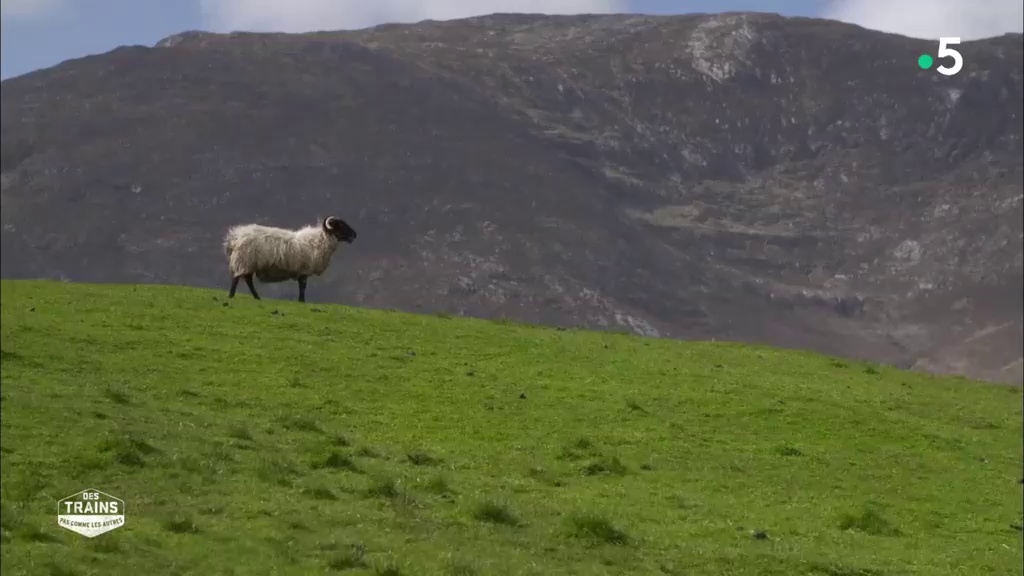 Des trains pas comme les autres - Irlande