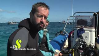 Entre terre et mer - Bataille de clichés
