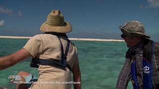 Entre terre et mer - Chesterfield, l'eldorado des scientifiques