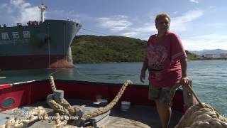 Documentaire Entre terre et mer – De la femme à la mer