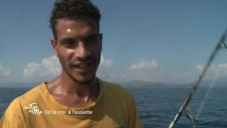 Entre terre et mer - De la mer à l'assiette