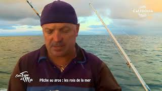 Entre terre et mer – Pêche au gros,  les rois de la mer