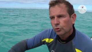 Entre terre et mer - Eco-découverte à Bourail