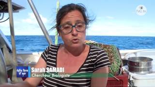 Entre terre et mer - La planète revisitée