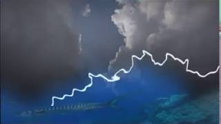 Guyane, une côte sous influences