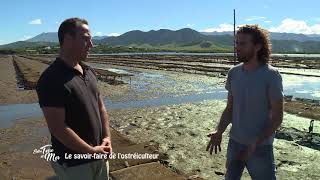 Entre terre et mer - Le savoir-faire de l'ostréiculteur