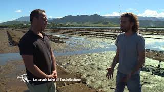 Documentaire Entre terre et mer – Le savoir-faire de l’ostréiculteur