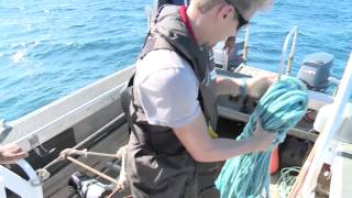 Entre terre et mer – Mission Pristine (1/2)