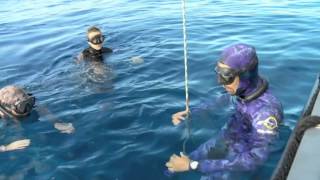 Entre terre et mer - Plongée en apnée
