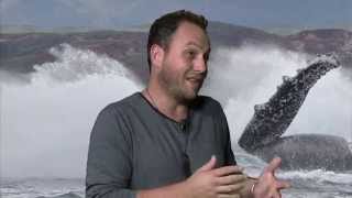 Entre terre et mer – Sur les traces des baleines (1/2)