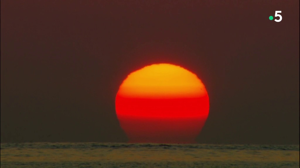 Documentaire Sale temps pour la planète – Hawaii, urgences d’Etat (1/2)