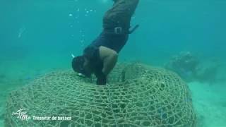 Entre terre et mer - Tresseur de nasses à Lifou