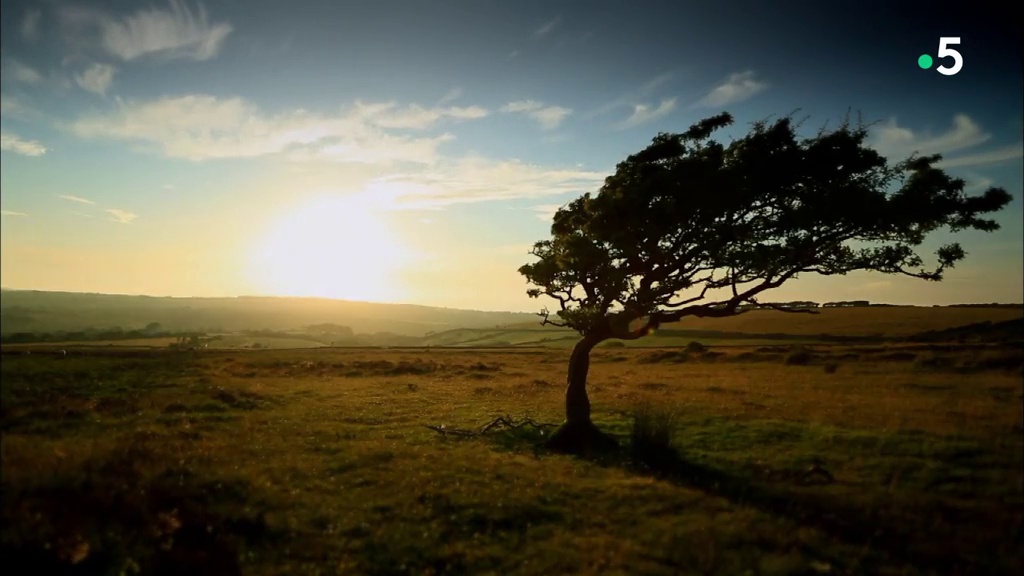 Documentaire Vivre loin du monde – Devon