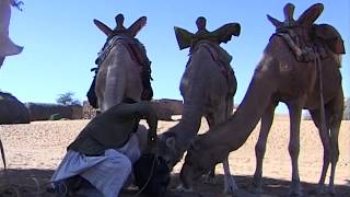 Documentaire Mauritanie : destins des sables