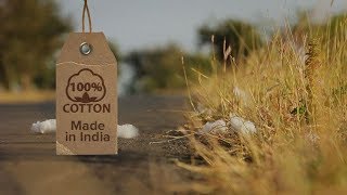 Documentaire 100 % cotton. Made in India