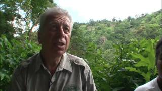 Documentaire Au delà des voyages – Dominica, île nature