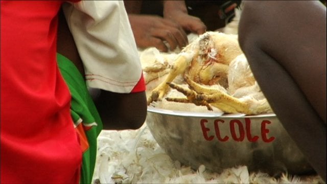 Documentaire Basse-cour