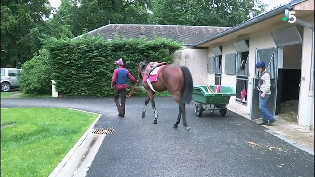 Documentaire Chantilly, la capitale du cheval