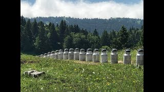 Chroniques d'en haut - Histoires de frontières
