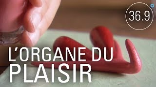 Documentaire Entre plaisir et santé: que savez-vous du clitoris?