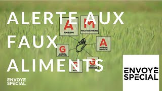 Alerte aux faux aliments ?