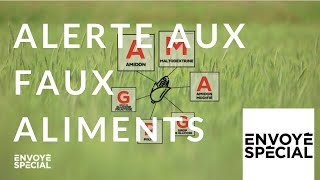 Documentaire Alerte aux faux aliments ?