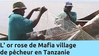L'or rose de Mafia, village de pêcheur en Tanzanie