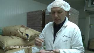 Documentaire Les coulisses – Biscochoc (1/2)