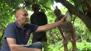 Les coulisses - Biscochoc (2/2)