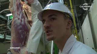 Documentaire Les Coulisses – Bienvenue dans la viande
