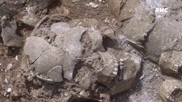 Les secrets des Vikings - Le tombeau secret