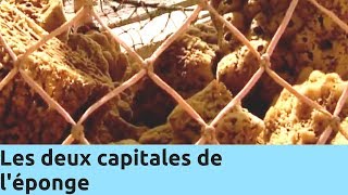 Les deux capitales de l’éponge