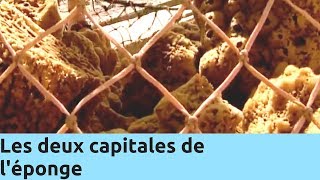 Documentaire Les deux capitales de l’éponge