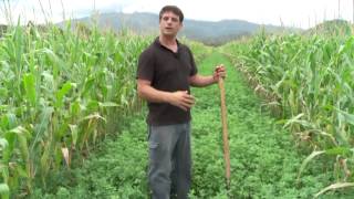 Documentaire Les coulisses de la science – Agriculture bio : la fertilisation des sols