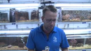 Les coulisses de la science – L’aquarium du lagon