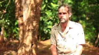 Documentaire Les coulisses de la science – Les fourmis de Nouvelle-Calédonie (2/2)