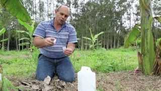 Les coulisses de la science – Les insectes
