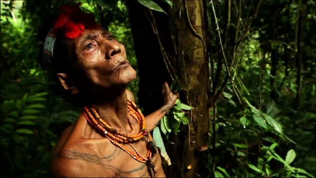 Documentaire Peuples autochtones: notre combat