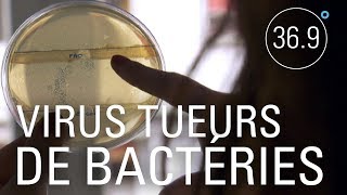 Phagothérapie: le traitement de la dernière chance