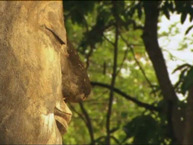 Documentaire Thaïlande, fleur de l’Asie