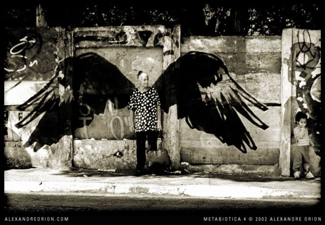 Urban amazone - Sao Paulo